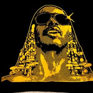 Incredible Stevie Wonder tee